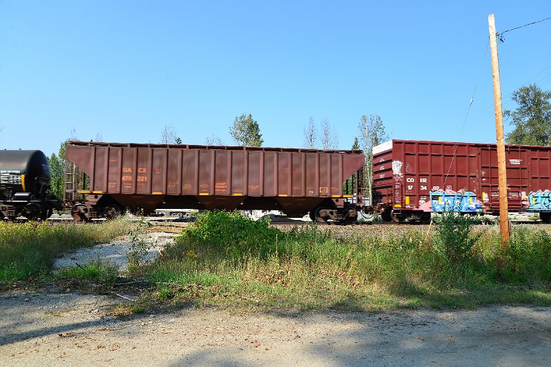 DSC_8260.JPG
