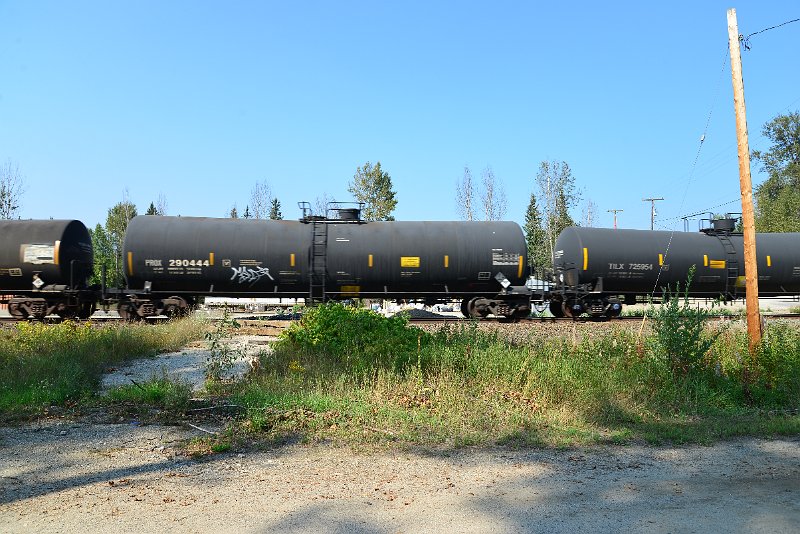 DSC_8264.JPG