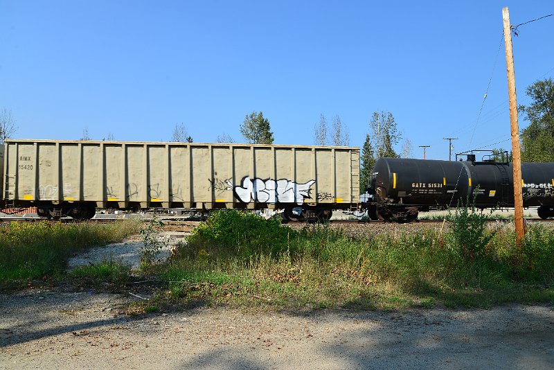 DSC_8267.JPG