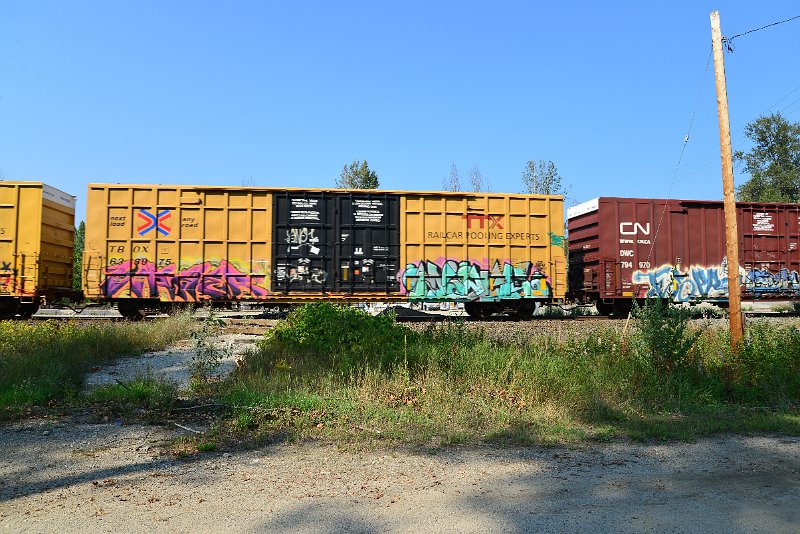 DSC_8276.JPG