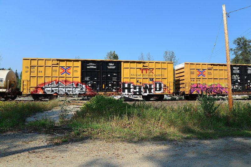 DSC_8277.JPG
