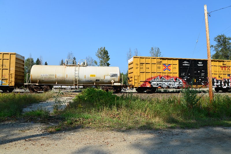 DSC_8278.JPG