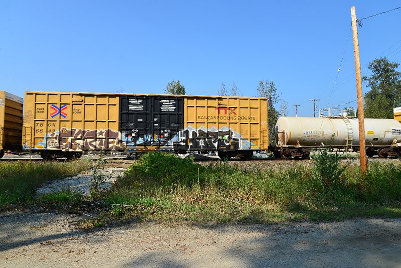 DSC_8279.JPG