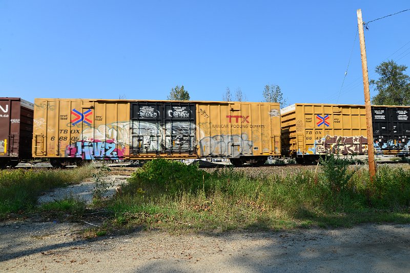 DSC_8280.JPG
