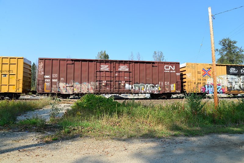 DSC_8281.JPG