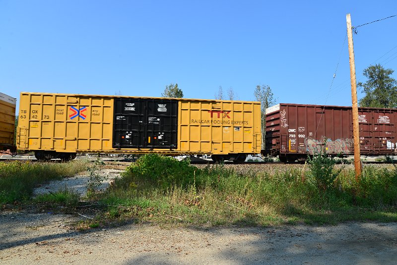 DSC_8282.JPG