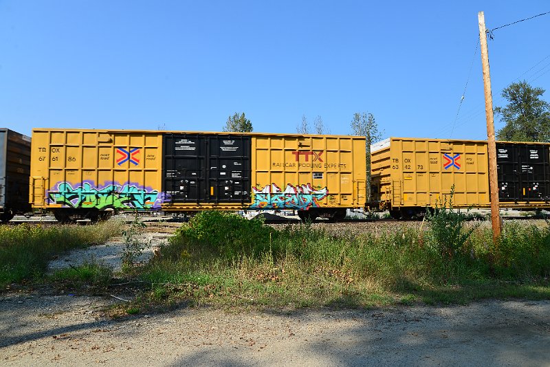 DSC_8283.JPG