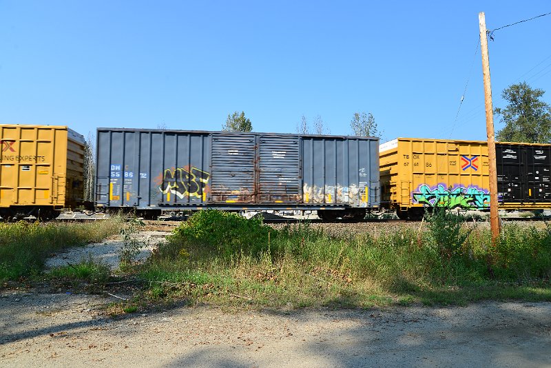 DSC_8284.JPG