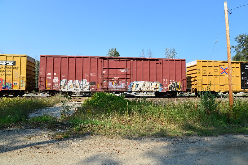 DSC_8287.JPG