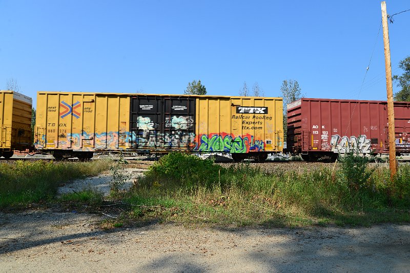 DSC_8288.JPG