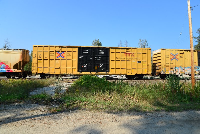 DSC_8289.JPG