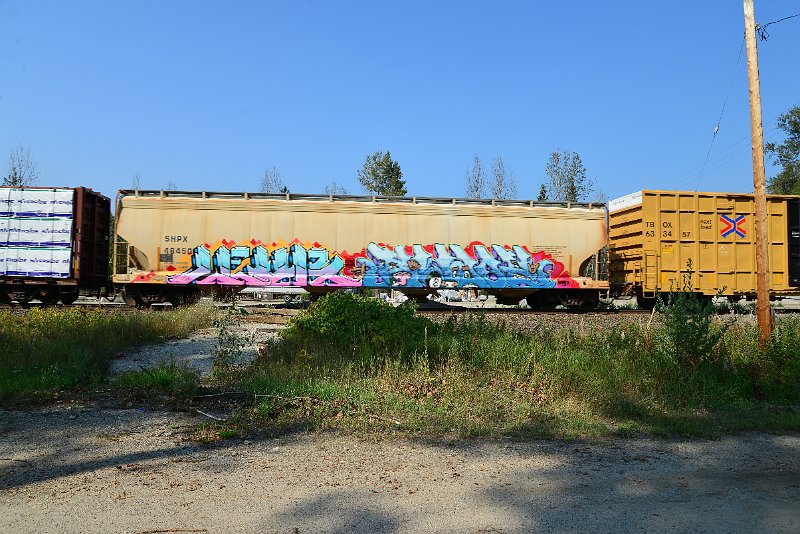 DSC_8290.JPG