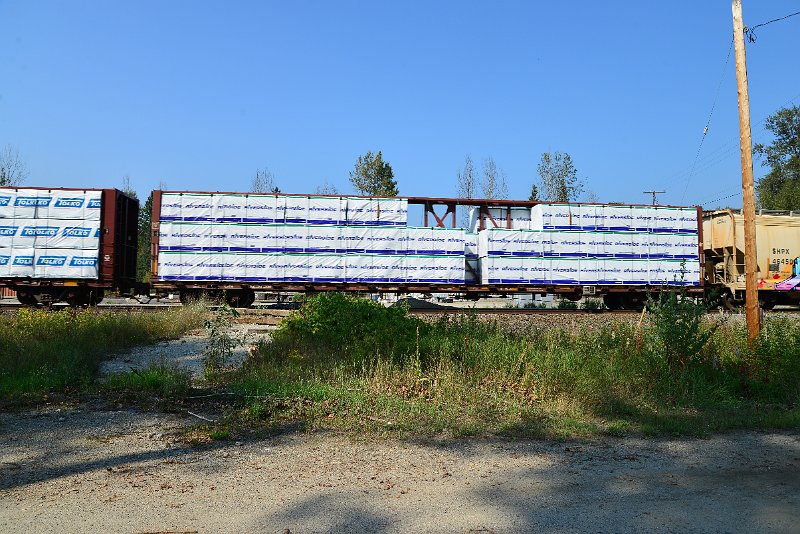 DSC_8291.JPG