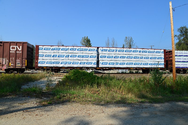 DSC_8292.JPG
