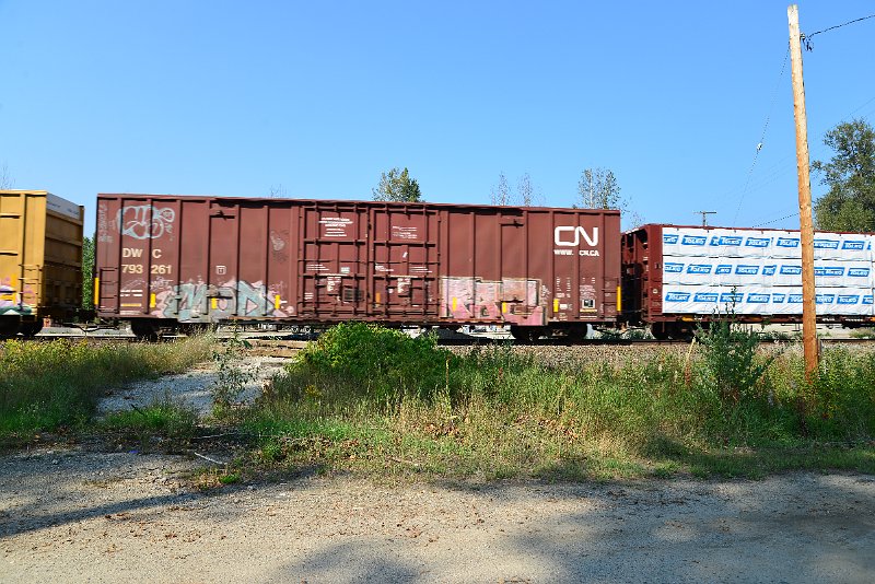 DSC_8293.JPG