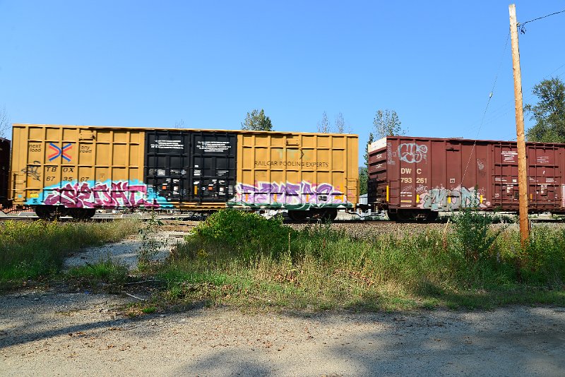 DSC_8294.JPG