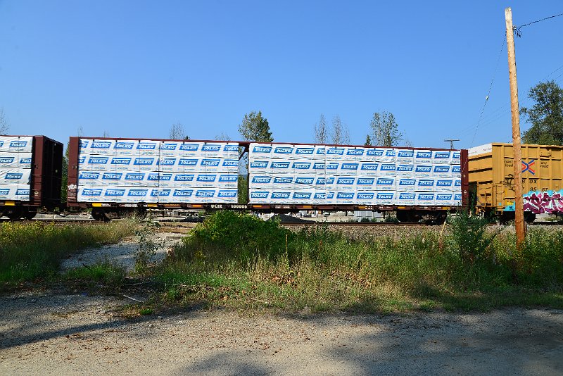 DSC_8295.JPG