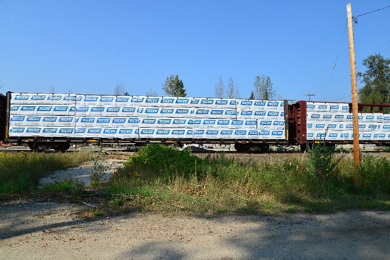 DSC_8297.JPG