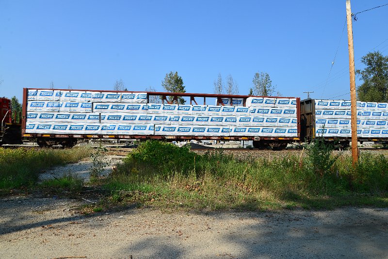 DSC_8298.JPG