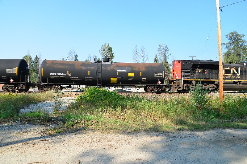 DSC_8300.JPG