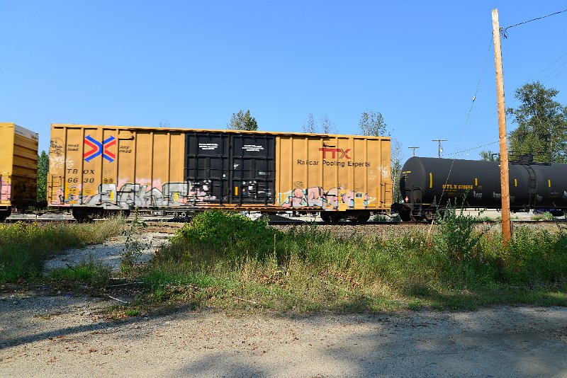 DSC_8320.JPG