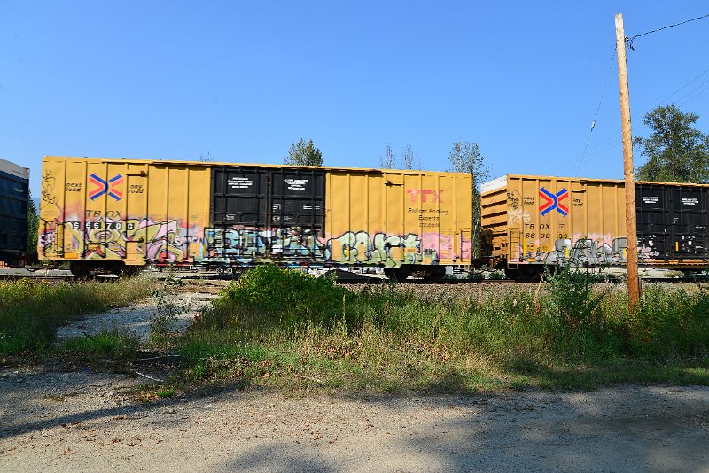 DSC_8321.JPG
