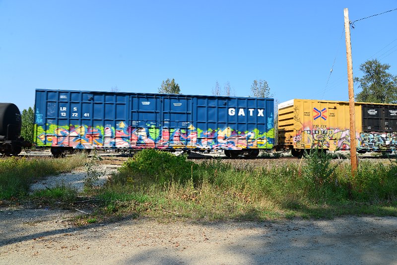 DSC_8322.JPG