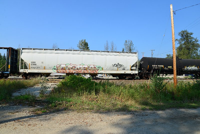 DSC_8327.JPG