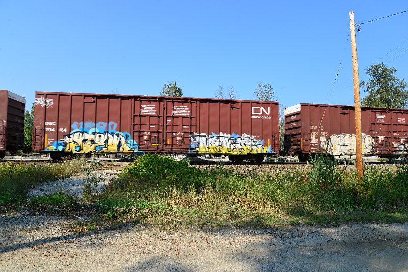 DSC_8330.JPG