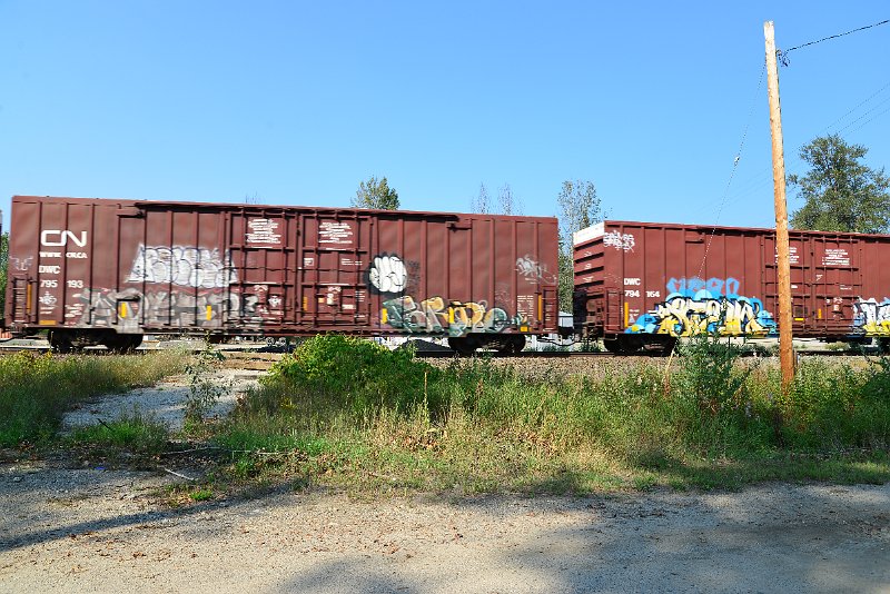 DSC_8331.JPG