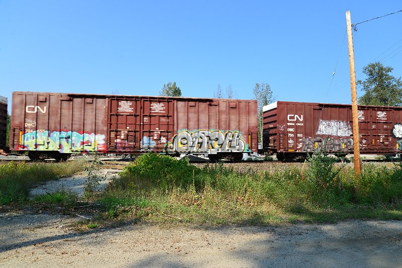 DSC_8332.JPG
