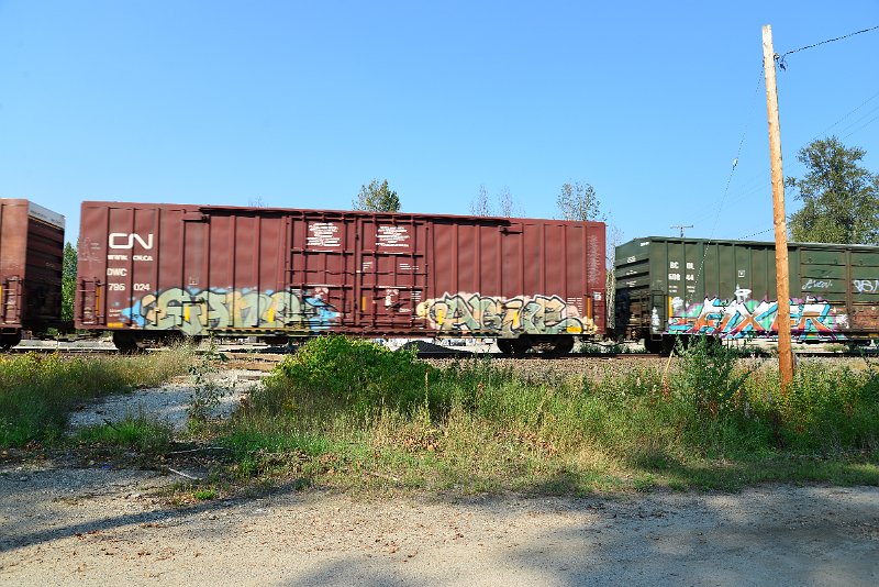 DSC_8335.JPG