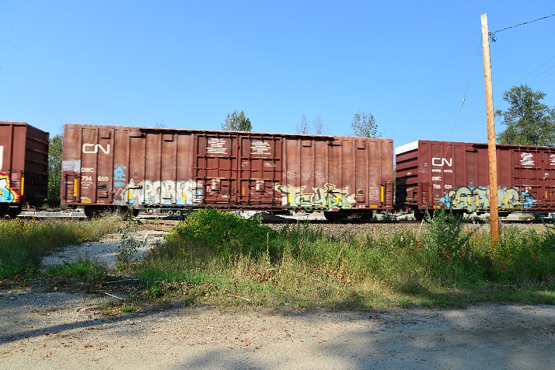 DSC_8336.JPG