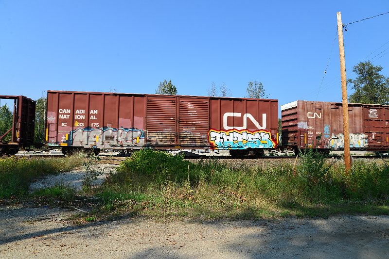 DSC_8337.JPG
