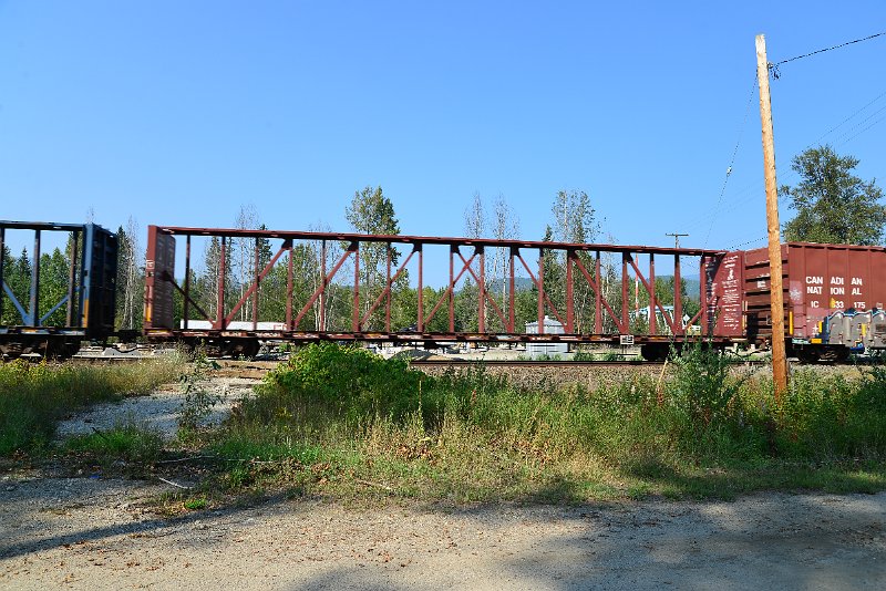 DSC_8338.JPG