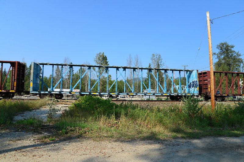 DSC_8341.JPG
