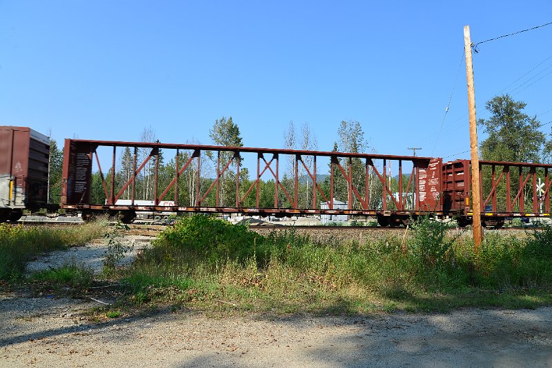 DSC_8343.JPG