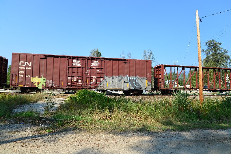 DSC_8344.JPG