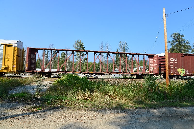 DSC_8345.JPG