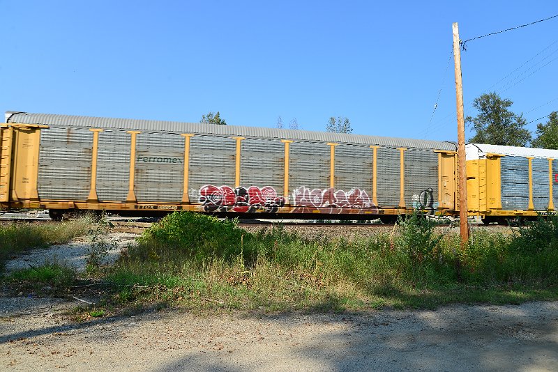 DSC_8347.JPG