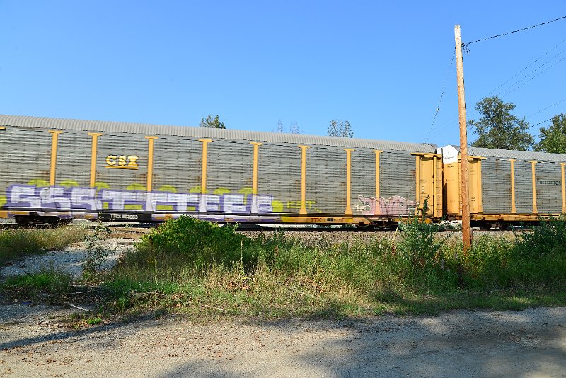 DSC_8348.JPG