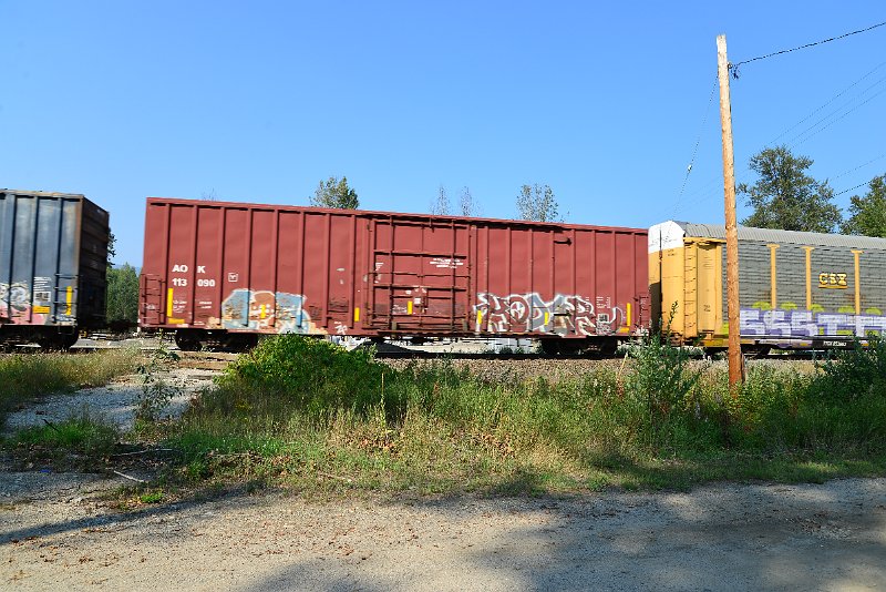 DSC_8349.JPG