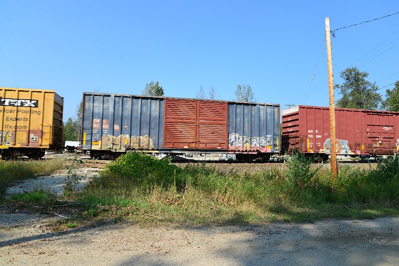 DSC_8350.JPG