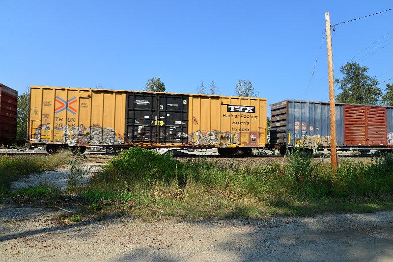 DSC_8351.JPG