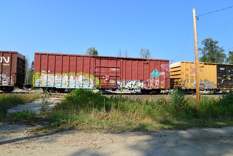 DSC_8352.JPG