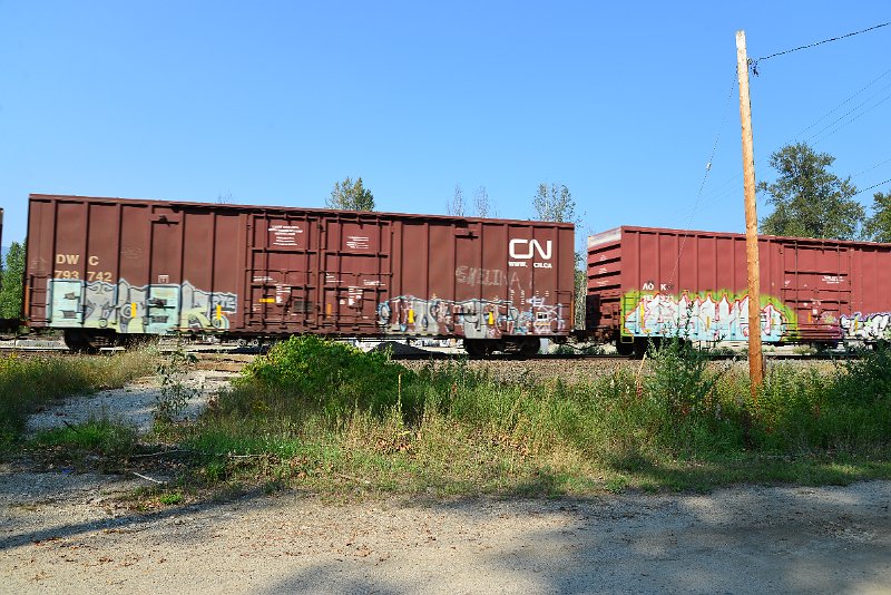 DSC_8353.JPG