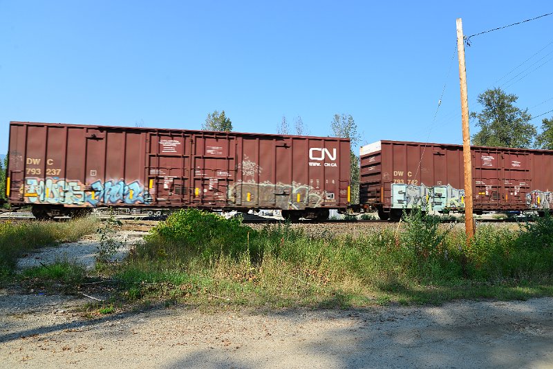 DSC_8354.JPG