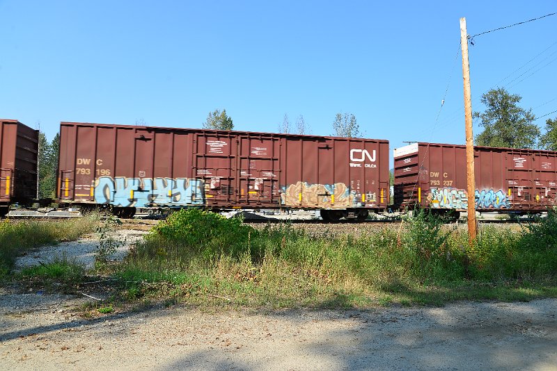 DSC_8355.JPG