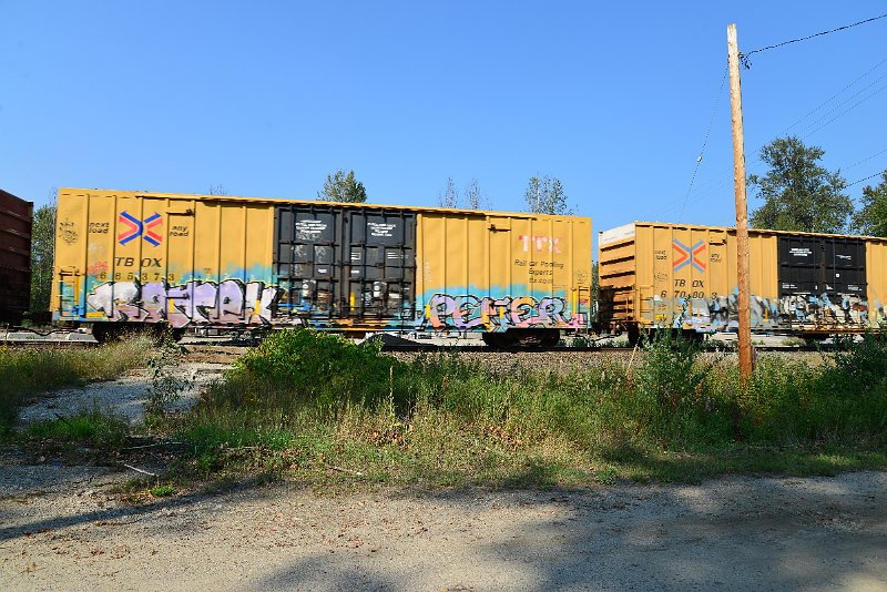 DSC_8358.JPG