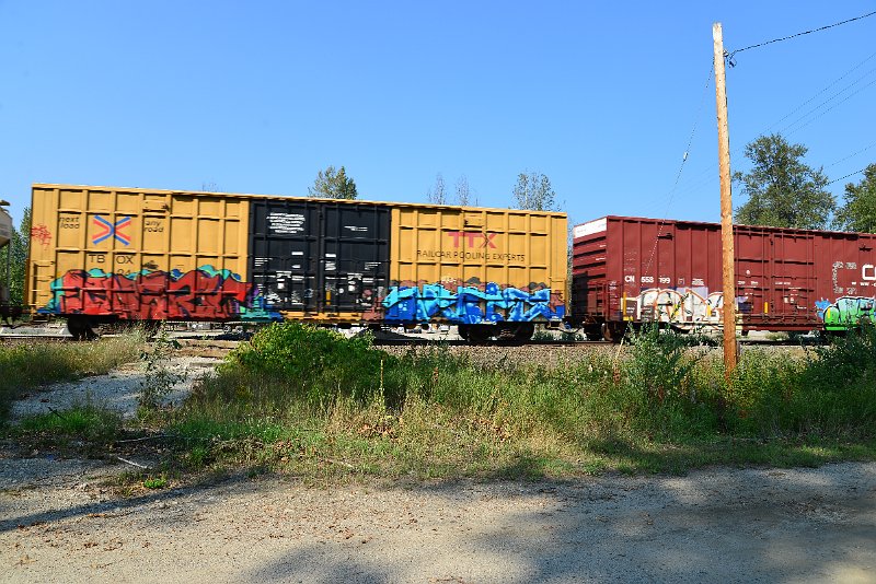 DSC_8361.JPG